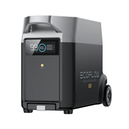 Bateria Extra DELTA Pro